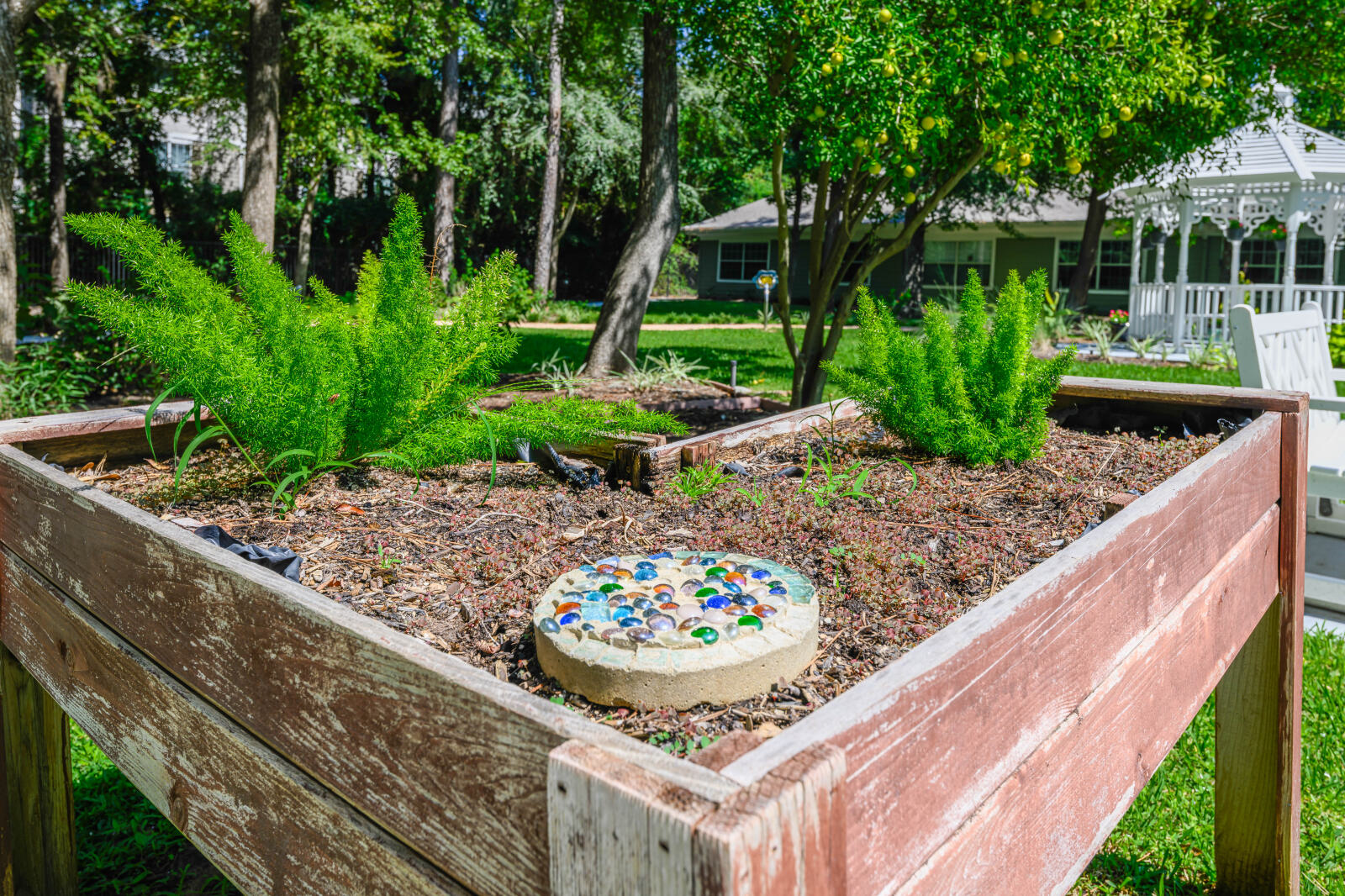 Courtyard 5