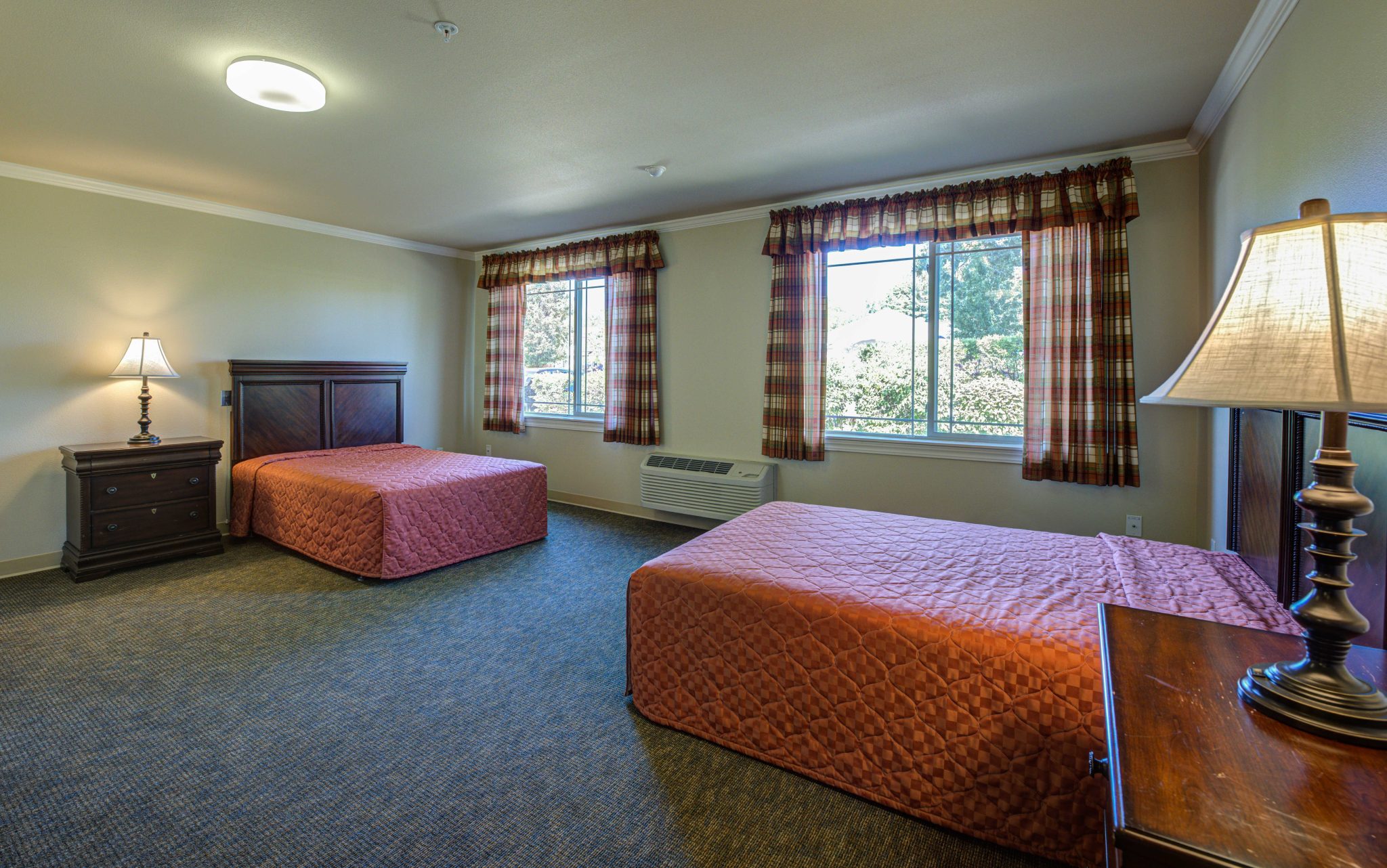 Companion Room