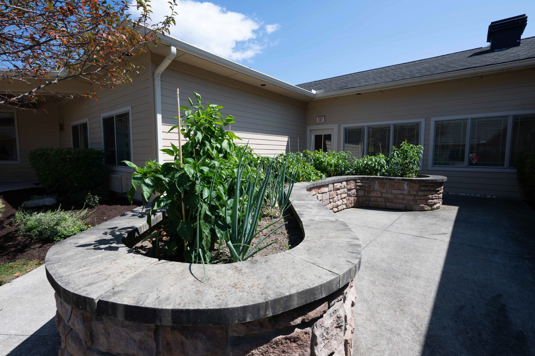 Courtyard