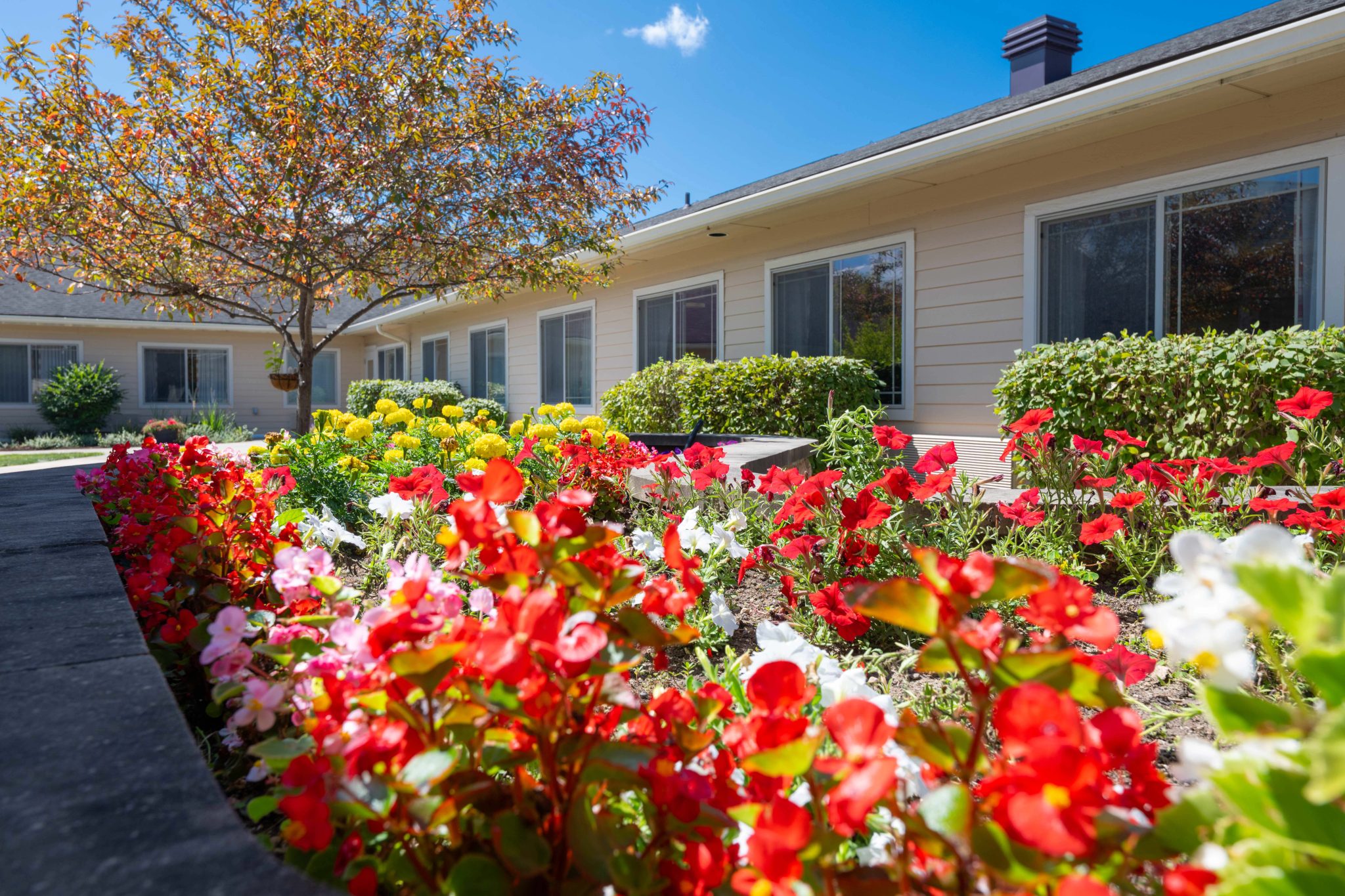 Courtyard Flowerbed