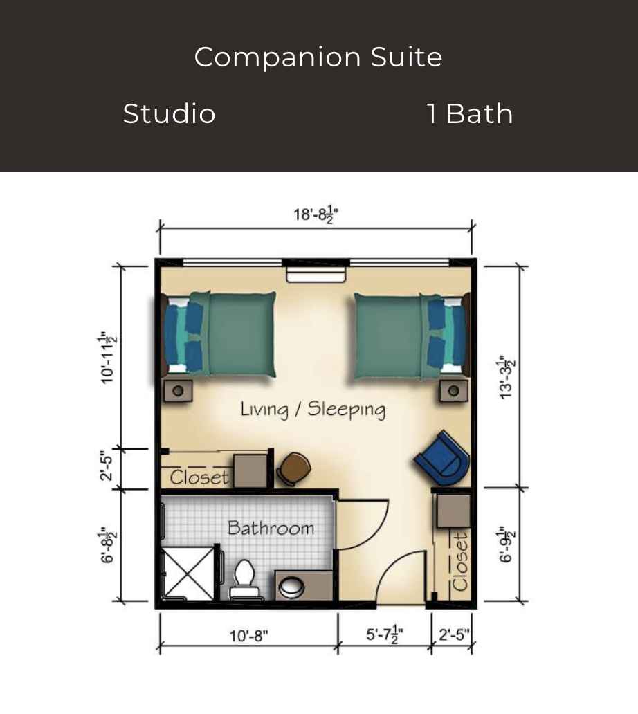Companion Suite - Studio - 1 Bed / 1 Bath
