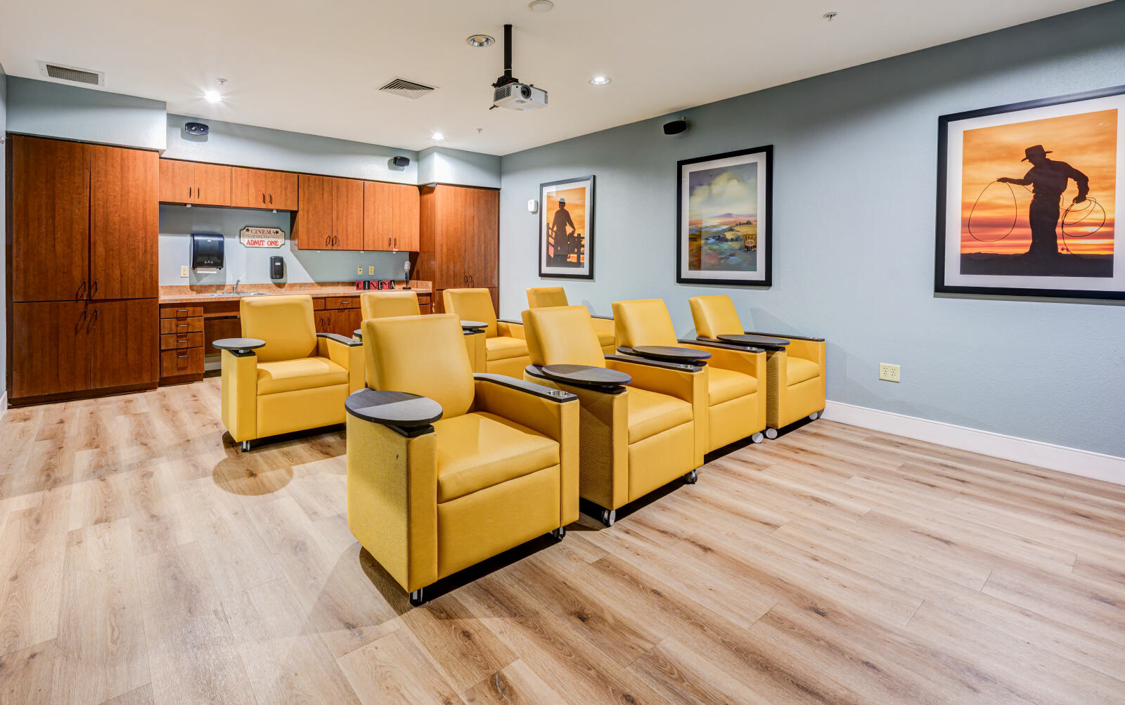 Theater Room 4
